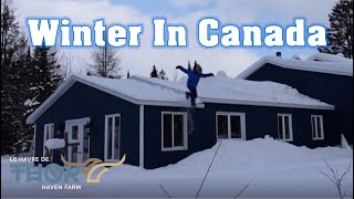 A Quiet Homestead Snowshoeing Tour