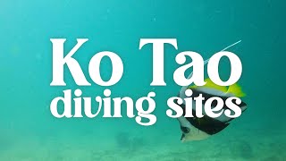 Ko Tao: Scuba Diving