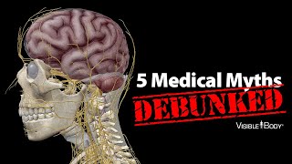 Visible Body | 5 Famous Medical Myths DEBUNKED