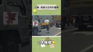 感謝大自然的饋贈 #shorts