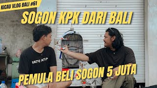 SOGON MEWAH MILIK FENDI - ISIAN VARIASI TERBAIK DI BALI‼️ #KicauVlogBaliEpisode61 #dewatasamudra