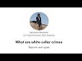 White collar crime: reports and types