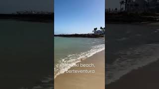 Playa Waikiki beach at Corralejo, Fuerteventura #shorts