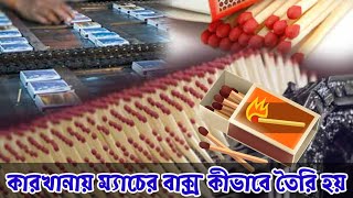 কারখানায় ম্যাচের বাক্স কীভাবে তৈরি হয় // How matches box are made in the factory,