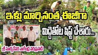 మొక్కల ప్రేమికులు నాగేంద్ర వరప్రసాద్ | తుమ్మేటి రఘోత్తమరెడ్డి రైతునేస్తం మిద్దెతోట పురస్కారాలు 2024