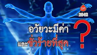 อวัยวะใดมีค่า และชั่วร้ายที่สุด HL ฃฅ147