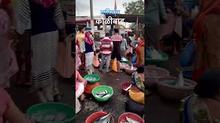 अलिबाग कोळीवाड #short #maharashtra #beach #fish #viral