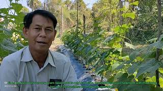 Advancing the Milled Rice Business of Kraing Leav Samaki Agricultural Cooperative