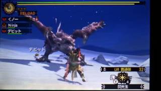 mh4g　初期装備～リオレイア亜種　ヘビィボウガン２９