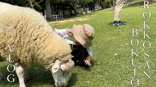 【Vlog】六甲山牧場〜計画通りいかないのが子連れのおでかけ🤷🏻‍♀️〜