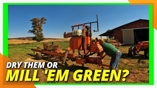 Should You Mill Wet Or Dry Logs On The Sawmill?