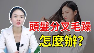 【頭髮護理】頭髮分叉毛躁怎麼辦？輕鬆4招解決髮質問題！