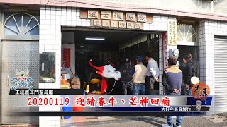 2020/01/19 迎請春牛、芒神回廟_ 2020庚子年正統鹿耳門聖母廟新春嘉年華、花火迎春、迎春牛活動