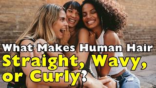 The Science Behind Straight, Wavy, and Curly Hair [ID1009]