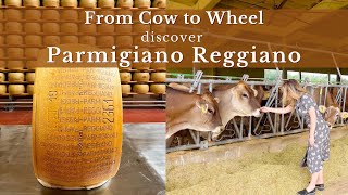 From Cow to Wheel- Discover Parmigiano Reggiano