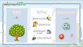 องค์ประกอบของระบบนิเวศ ชั้นป.5