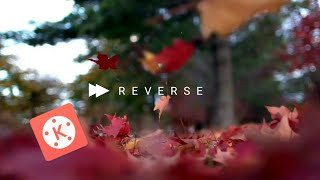 Reverse playback effect in kinemaster | advanced reverse effect in kinemaster #SPEditex#kinemaster