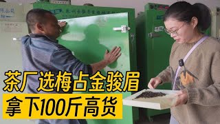 帮茶友选茶做零售，走了几个厂比货，拿下100斤梅占金骏眉