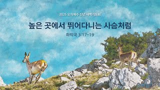 [평택온누리 신년 새벽기도회]  높은곳에서 뛰어다니는 사슴처럼   (하박국 3:17-19) 2025.01.08(수)