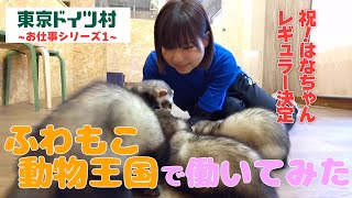 【東京ドイツ村】世界のふわもこ動物王国で働いてみた！！