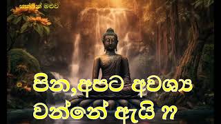 පින අපිට අවශ්‍ය වන්නේ ඇයි...හැඩිගල්ලේ චන්දාලෝක ස්වාමීන්වහන්සේ