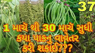 ઉનાળામાં કયા પાકો વાવિ શકાય??#MY KHEDUT