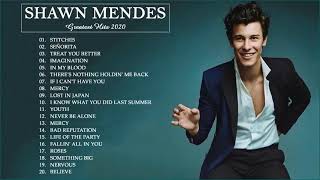 SHAWN MENDES BEST OF PLAYLIST 2020