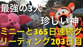 ミニーと365日連続グリーティング203日目〜最強の3人\u0026珍しい神〜 my Disney tour day 203 I meet minnie mouse