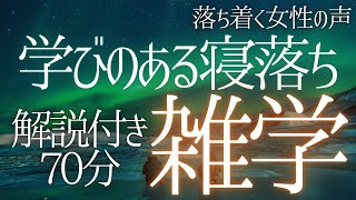 【睡眠導入】5分で安眠💤 眠れないあなたに 寝ながら知恵がつく 大人の睡眠学習 解説付き 雑学 睡眠用BGM 聞き流し BGMなし ai【落ち着く女性の声・合成音声】