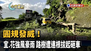 圓規發威！ 宜.花強風豪雨 路樹遭連根拔起砸車－民視新聞