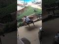 Security camera catches grandma’s epic fail 😂