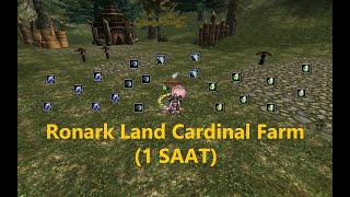 Knight Online // Ronark Land Cardinal Farm