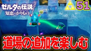 ゼロから始まる道場めっちゃ楽しくね！？ ゼルダの伝説『知恵のかりもの』実況プレイ!! #51【ぽんすけ】