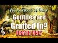 Gentiles Are Grafted In? (Drash Only) | Is Romans 11 Really True??