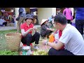 harvesting guava u0026 goes to market sell gardening and cooking lý tiểu vân