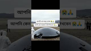 আপনি তো বড়ো লোক আপনি কেনো আল্লাহর নামটা লিখবেন #foryou #unfrezzmyaccoun #shortvideo #islam