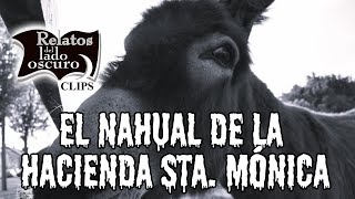 El nahual de la hacienda || Relatos del lado oscuro Clips