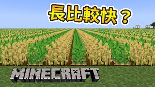 Minecraft 都市傳說大追擊 -  一排一排種田 真的有長比較快??快很多?? 真的有人這樣種田????