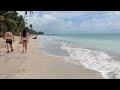 Walking in Xereu Beach - Maragogi, Alagoa/Brazil 🇧🇷 [4K]