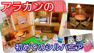 とうとう購入！三田アウトレットであかりの灯る大きなお家を購入👍️次男嫁、孫もシルバニアファミリーに大喜び😊  #shorts