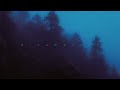 my head is empty - perpetual