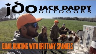 Quick quail hunt in South Alabama with Brittany Spaniel - harvest 8 birds and good dog work