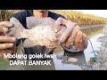 Musim kemarau mbolang cari ikan di tambak e wong