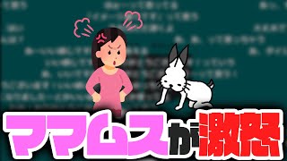 母を激怒させた話【ドコムス雑談切り抜き】