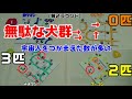 【ナインタイルパニック】急いで焦って大混乱！！？【ボードゲーム紹介】