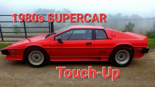 1983 Lotus Esprit Turbo Touch-Up