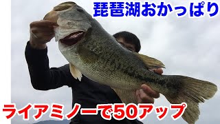 ライアミノーの使い方！実釣インプレの最中に春バスのデカバスが！in琵琶湖南湖おかっぱりバス釣り