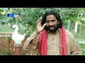 zahar zindagi ep 127 sindh tv soap serial sindhtvhd drama