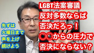 どうなった？LGBT法案議論　合同会議の結果を受けて解説します。