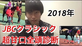 【全頭解説】2018年 JBCクラシック 出走馬全頭を褒めちぎります【競馬予想】